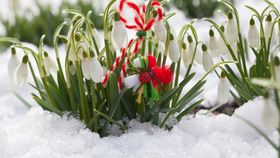 Când revin ninsorile în România? Anunțul făcut de meteorologii AccuWeather pentru luna martie